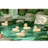 Duck Pond Waterfall – Cute Nature desk mat and mouse pad by PrintMyPad