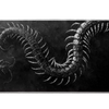 Gothic Centipede desk mat product view highlighting engraved white centipedes twisting across distressed black
