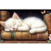 Sleeping Kitten Books – Library desk mat and mouse pad by PrintMyPad