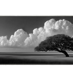 Landscape 90x40cm custom desk mat, non-slip rubber – Print My Pad