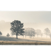 Landscape 90x40cm custom desk mat featuring misty trees in soft morning light, stitched edge – Print My Pad