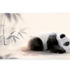 Sleeping panda bamboo watercolor desk mat shown in its wide-format artwork view