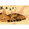 Sleeping Orange Tabby – Cozy Cat desk mat and mouse pad by PrintMyPad