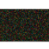 Binary Code Desk Mat | Programming Mouse Pad artwork on an extended desk mat with colorful binary code on a black tech background