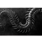 Gothic Centipede desk mat product view highlighting engraved white centipedes twisting across distressed black