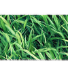Pattern 90x40cm custom desk mat with vibrant green grass texture, stitched edge – Print My Pad