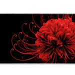 Full-width Red Spider Lily desk mat showing a crimson spider lily with curling stamens on deep black