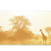Animals 36x16in custom desk mat, non-slip rubber – Print My Pad