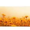 Landscape 900x400mm custom mouse mat, non-slip rubber – Print My Pad