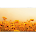 Landscape 900x400mm custom mouse mat, non-slip rubber – Print My Pad