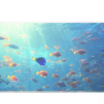 Animals 36x16in custom desk mat, stitched edge – PrintMyPad
