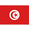 Country 36x16in custom desk mat, stitched edge Tunisia flag – PrintMyPad